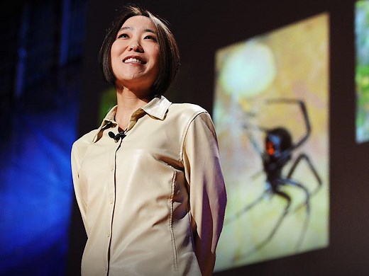 The magnificence of spider silk