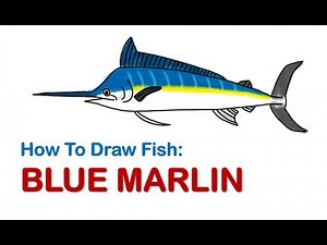 How to Draw Fish - Blue Marlin | Step by step tutorial