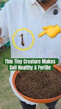 How Earthworms Improve Soil Health | Benefits of Earthworms Explained