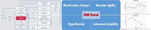Neuroleptic Malignant Syndrome (NMS; including Parkinsonism-hyperpyrexia syndr.)