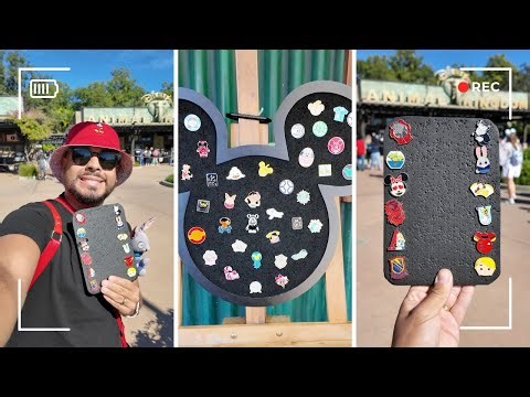 Disney Pin Match Game At Animal Kingdom - November 2025