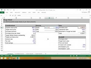 Full Scale Merger Model