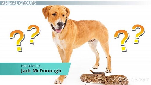 You must c C reate an account to continue watching