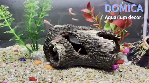 Amazon.com: DOMICA Aquarium Decorations for Small Fish, Betta, Reptile Hide, Resin Ornaments for 3 to 10 Gallon Fish Tank, Reptiles & Amphibians Habitat Decor Accessories : Pet Supplies