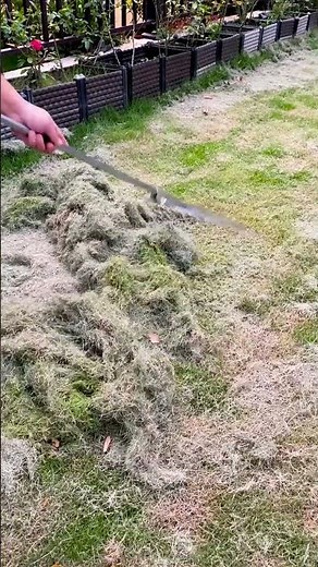 Ultimate Guide to Garden Rakes: Choosing the Best One for Your Yard!