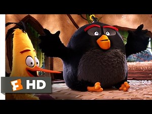 Angry Birds - Classmates At Anger Management Class
