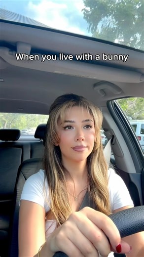 73K views · 1.4K reactions | Watch till the end…the sheer hypocrisy! | Lennon The Bunny | Facebook