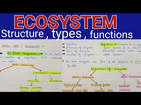 Ecosystem structure and functions | Ecosystem structure | ecosystem structure and functions notes