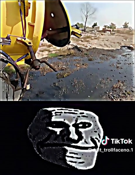 Exploring the Evolution of Troll Face Memes