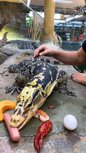 414K views · 6.9K reactions | Ever wondered what a giant monitor...