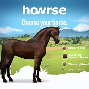 Find the perfect combination to create your favorite horse and start playing! 🐴 | Howrse