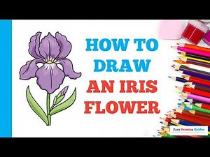 How to Draw an Iris Flower: Easy Step by Step Drawing Tutorial for Beginners