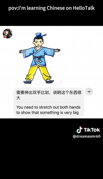 Chinese Language Learning Insights from a Younger Generation