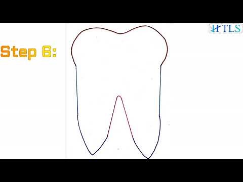 Easy step by step diagram of tooth/How to draw the structure of tooth easily/Tooth diagram.