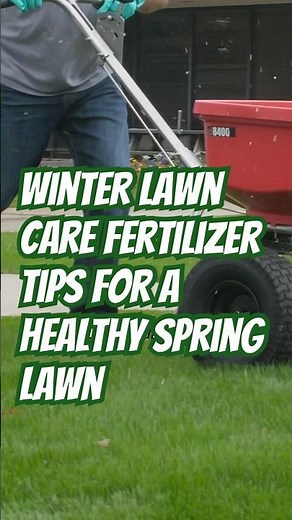 Fertilizing your Lawn in Winter? Follow these tips for success.
