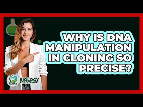 Why Is DNA Manipulation In Cloning So Precise? - Biology For Everyone