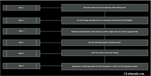 No Page Found - Labmonk