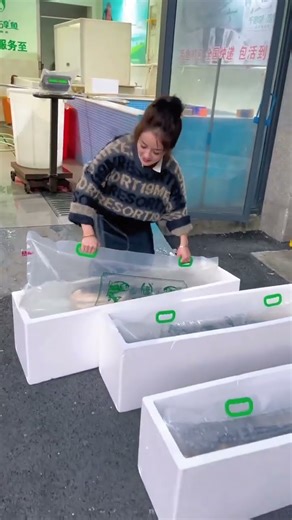 Fresh Live Fish Supply and Packing for Local & Wholesale Markets.