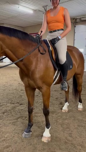 Adjusting Stirrups from the Saddle: A Step-by-Step Guide
