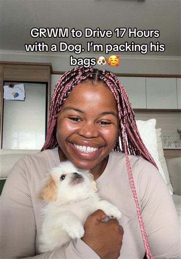 Essential Packing Tips for Long Road Trips with Dogs