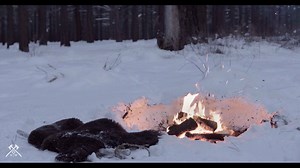 2.6K views · 92 reactions | We realize that many of you do not have access to the New World Alpha Test, and are thus unable to log in and build your own campfire. In the spirit of giving, we decided to go ahead and build one for you  Stay warm! | Play New World | Facebook