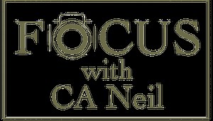 How To Use The Mixer Brush Tool In Photoshop