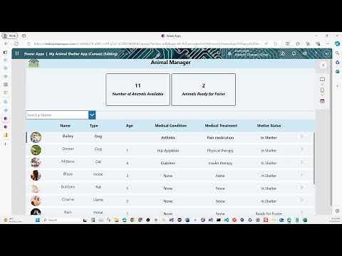 1. Complete Walkthrough: My Microsoft Power Platform Animal Shelter Solution