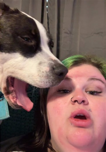 Colonoscopy Update: Inflammation and Next Steps