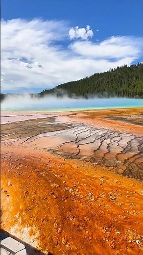 Witness the Largest Hot Spring in US - Grand Prismatic Spring | Yellowstone NP | Road Trip Series🚗