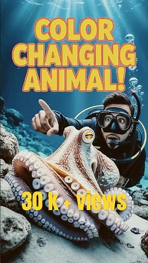 Amazing Color-Changing Camouflage Animal | Nature’s Invisible Master! 🐙 #professorofwhy