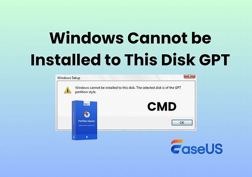 Windows 11 Install: Windows Cannot be Installed to This Disk GPT