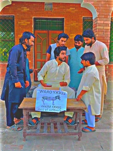 Funny Donkey Reactions: Part 1