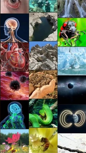 Study of What? Learn 22 Science Names in One Minute! | #shorts