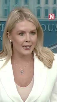 Leavitt Says Natasha Bertrand Should Be 'Ashamed' Over Leaked Intel Report