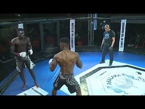 "Epic Mixed Martial Arts Moments: Jaw-Dropping Fights and Unbelievable Knockouts"