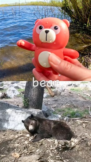 Animal Names | Kids Learn at the Lake: Bear Cheetah Flamingo African Buffalo Monkey