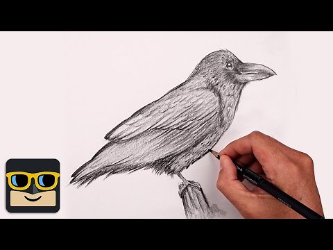 How To Draw a Raven | Sketch Tutorial