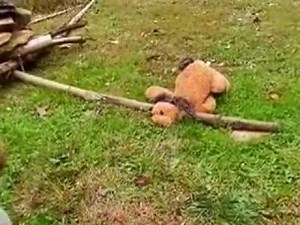 The Best Primitive Dead Fall Trap Design You Can Use