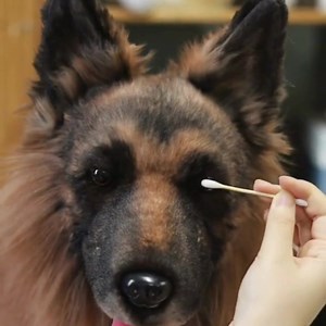 Cuddle Clones on Reels