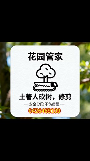 Call me at 0426469109 Professional High-Altitude Tree Removal |...