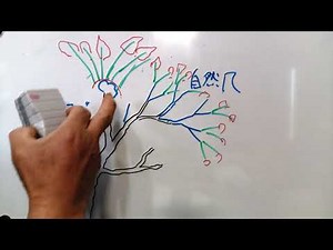 No 121 サルスベリ③コブから自然風へ