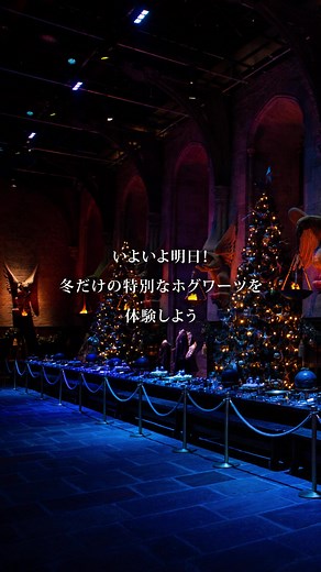 ホグワーツ・イン・ザ・スノー - ハリーポッタースタジオツアー東京特別企画