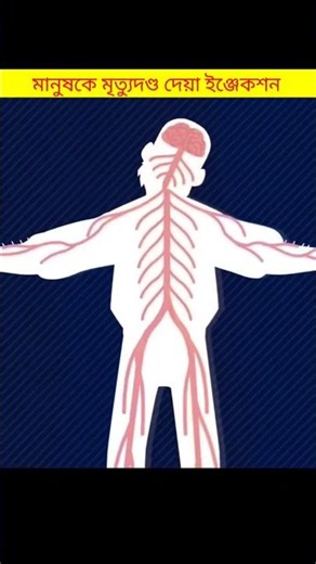 মৃত্যুদণ্ড দেওয়া ইনজেকশন কিভাবে কাজ করে #fact #bangla #shorts