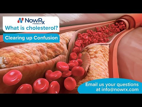 What is Cholesterol? Good and Bad Cholesterol Explained