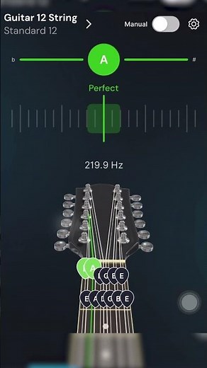 How to tuning your guitar 12 strings?