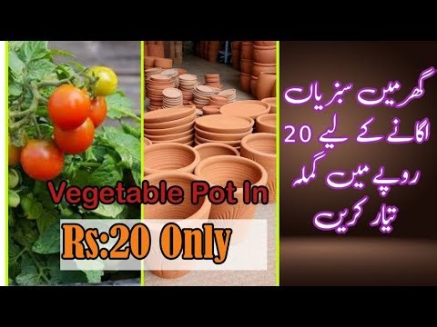 Cheapest Pot to Grow Vegetables at Home | Budget-Friendly Gardening Idea