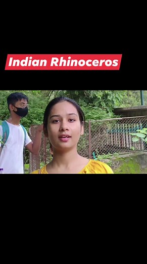 46K views · 1.2K reactions | Assam is called the state of Rhinoceros, rhinos are found here in abundance. It is very thrilling and attractive to see them.... #rhinos #Asami #norteastindia #exiting #enjoy #India. | Dharmendra Kumar | Facebook