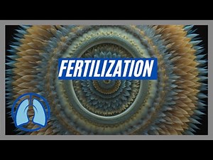Understanding Fertilization