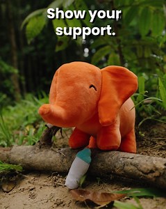 2.4K views · 3.5K reactions | Give the gift of helping endangered animals this holiday. Choose your loved one's favourite animal. Each plushie supports a specific cause and features a scannable NFC chip where you can read the story about the animal you are helping! Get Yours Today: https://followyourlegend.com/collections/legend-plushies/products/elephant-legend-plushie | Follow Your Legend | Facebook