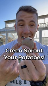 Gree sprout your potatoes and grow your best ones yet! Green sprouting or chitting is a process used to grow strong sprouts that will grow potatoes faster, healthier, more vigorously and disease resistant. Give it a try and see if it makes a difference in your garden! . . . #earthnailsandtails #potatoes #potato #greensprouting #chitting #plantingpotatoes #growingpotatoes #gardeningtips #gardeninghacks #gardening101 | Earth, Nails & Tails